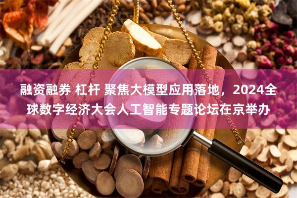 融资融券 杠杆 聚焦大模型应用落地，2024全球数字经济大会人工智能专题论坛在京举办