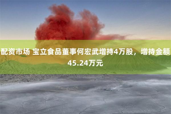 配资市场 宝立食品董事何宏武增持4万股，增持金额45.24万元