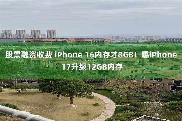 股票融资收费 iPhone 16内存才8GB！曝iPhone 17升级12GB内存