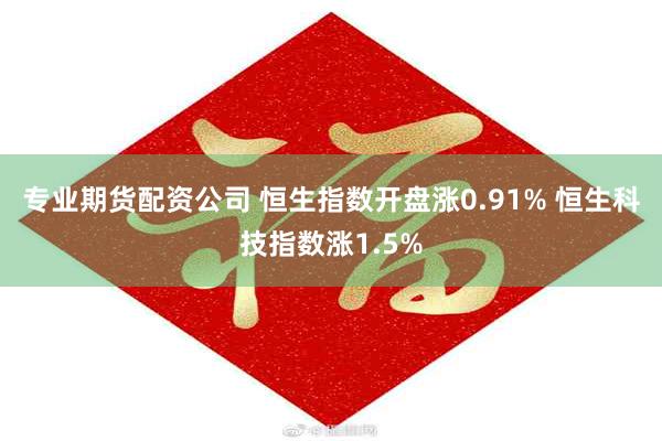 专业期货配资公司 恒生指数开盘涨0.91% 恒生科技指数涨1.5%