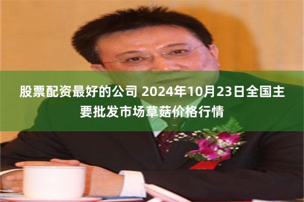 股票配资最好的公司 2024年10月23日全国主要批发市场草菇价格行情