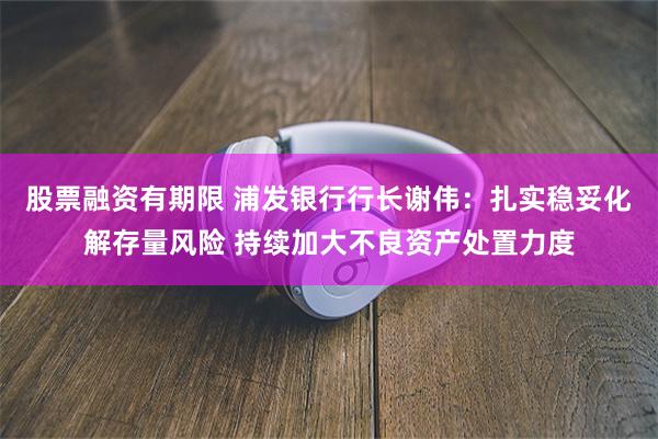 股票融资有期限 浦发银行行长谢伟：扎实稳妥化解存量风险 持续加大不良资产处置力度