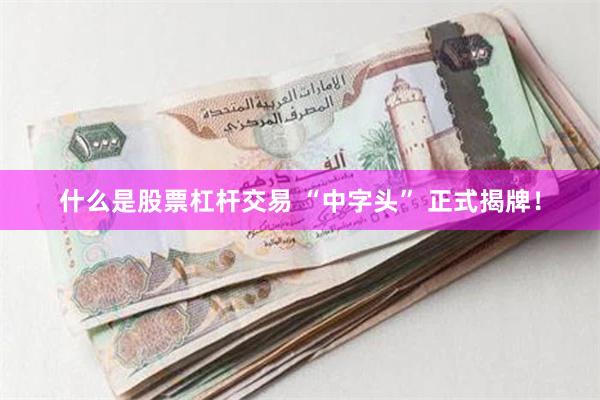 什么是股票杠杆交易 “中字头” 正式揭牌！