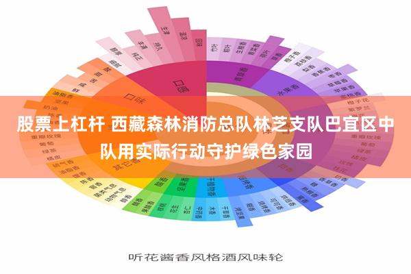 股票上杠杆 西藏森林消防总队林芝支队巴宜区中队用实际行动守护绿色家园