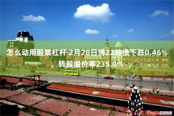 怎么动用股票杠杆 2月28日博22转债下跌0.46%，转股溢价率235.4%