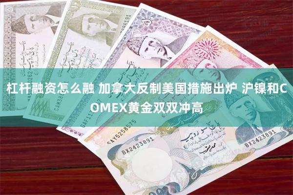 杠杆融资怎么融 加拿大反制美国措施出炉 沪镍和COMEX黄金双双冲高