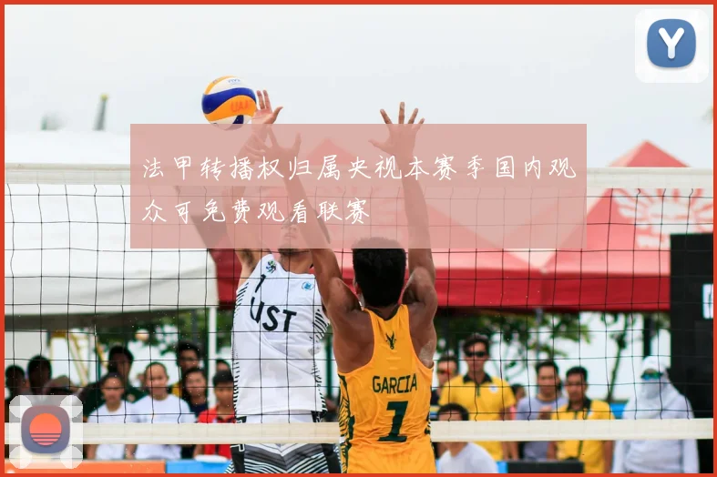 法甲转播权归属央视本赛季国内观众可免费观看联赛