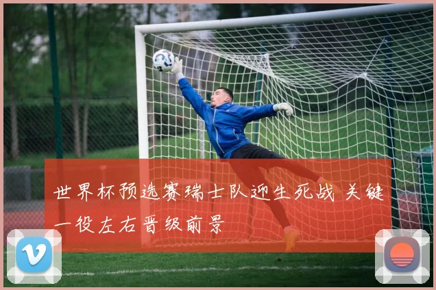 世界杯预选赛瑞士队迎生死战 关键一役左右晋级前景