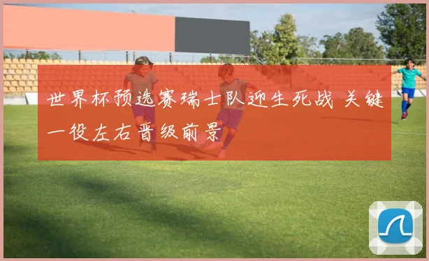 世界杯预选赛瑞士队迎生死战 关键一役左右晋级前景