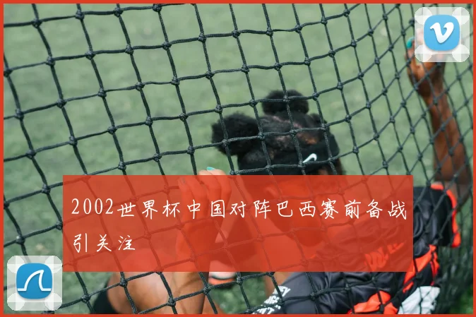 2002世界杯中国对阵巴西赛前备战引关注